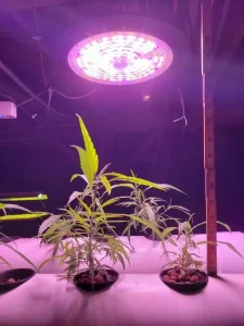 Edisun LIT-240 LED UFO grow light, 240W full-spectrum fixture